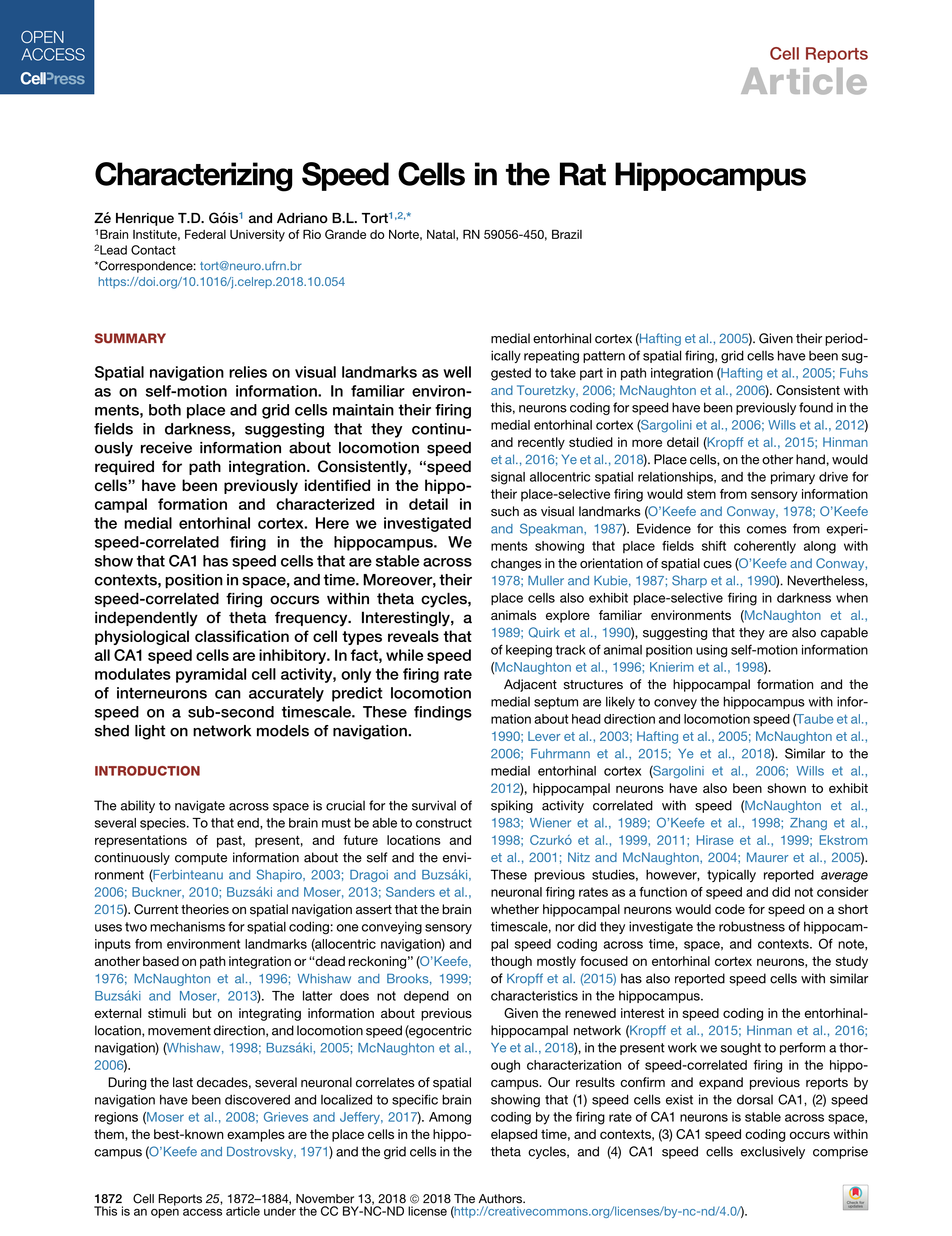 Characterizing Speed Cells in the Rat Hippocampus - Cell Reports